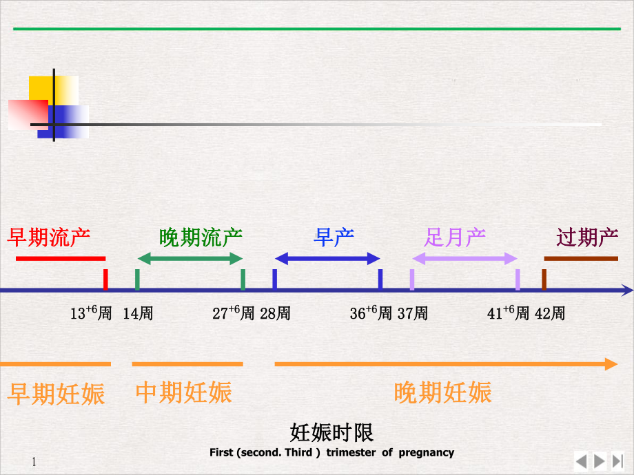 妇产科正常分娩课件.pptx_第3页