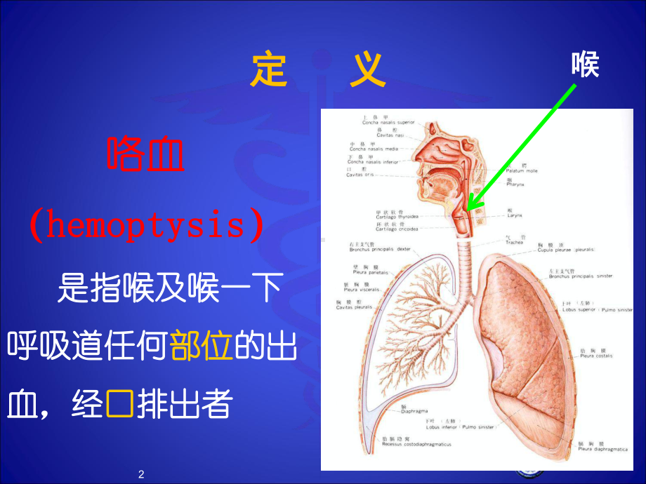 咯血诊断学精选课件.ppt_第2页