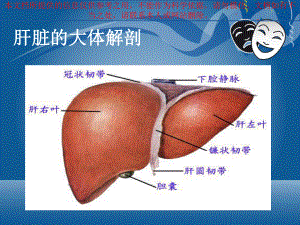 原发性肝细胞癌的CT和MRI诊疗培训课件.ppt