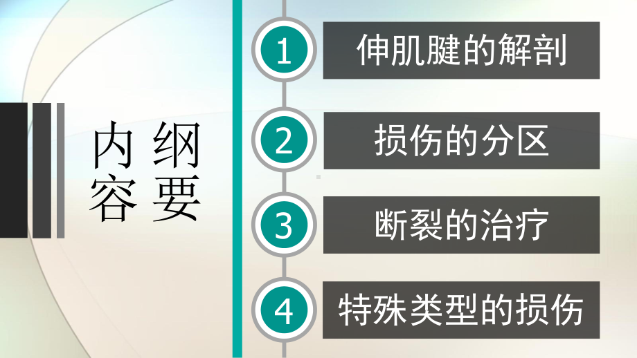 伸肌腱的损伤参考课件.pptx_第3页