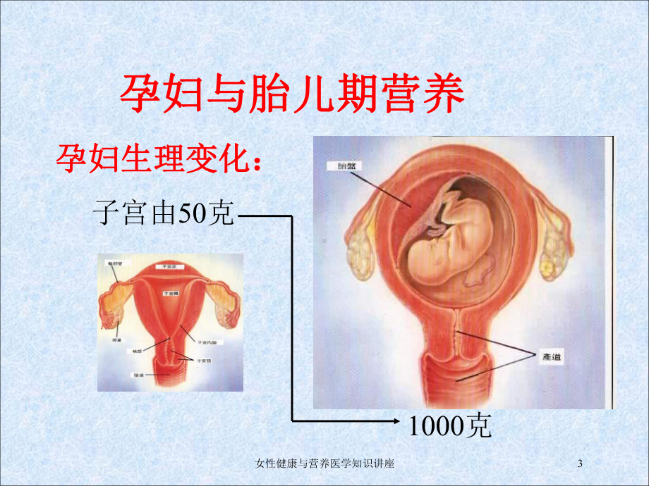 女性健康与营养医学知识讲座培训课件.ppt_第3页