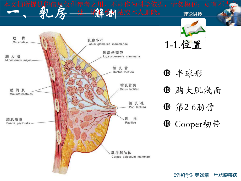 乳腺疾病专业知识宣贯培训课件.ppt_第3页