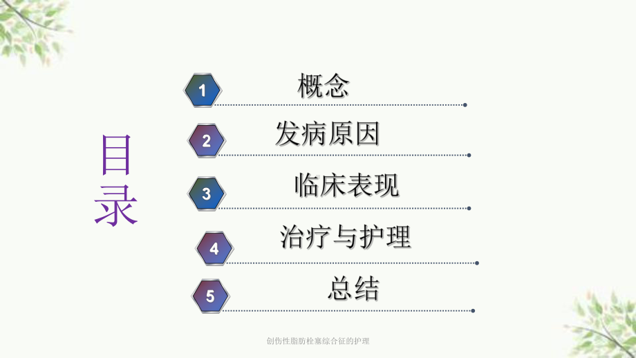 创伤性脂肪栓塞综合征的护理课件.ppt_第2页