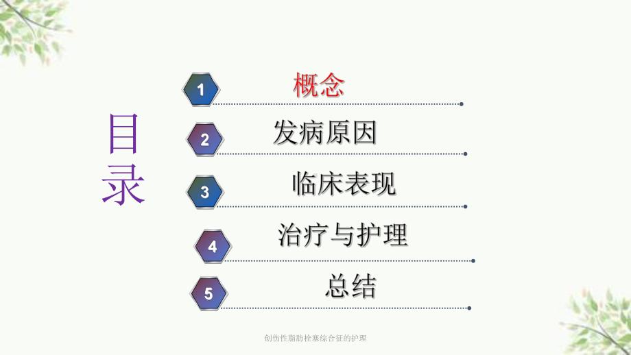 创伤性脂肪栓塞综合征的护理课件.ppt_第3页