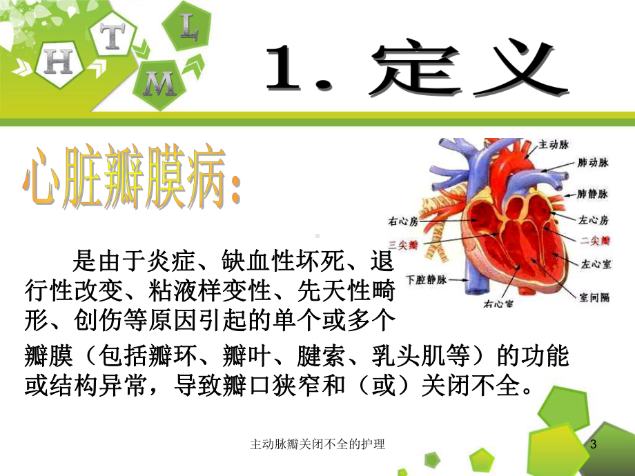 主动脉瓣关闭不全的护理课件.ppt_第3页