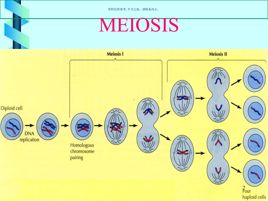 减数分裂主题医学知识课件.ppt_第2页