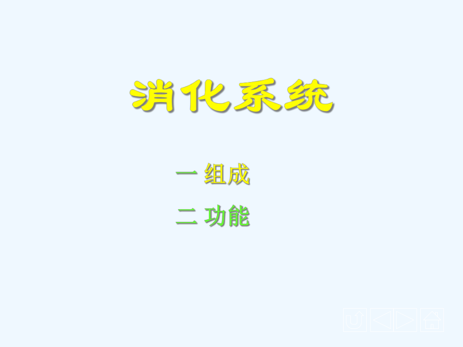 内脏系统与消化系统教学(43张)课件.ppt_第3页