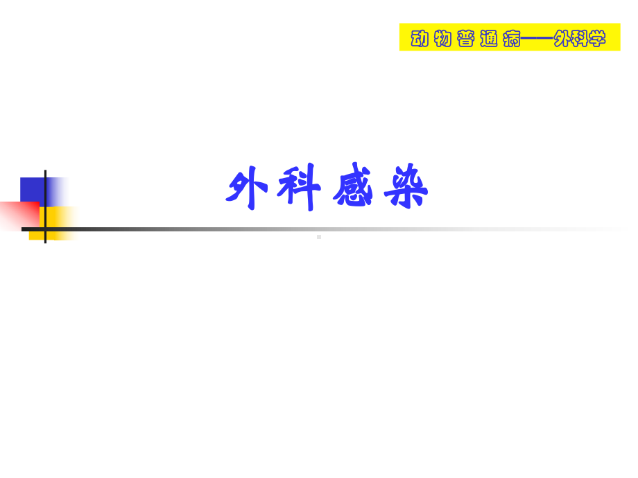 动物外科感染课件.ppt_第1页