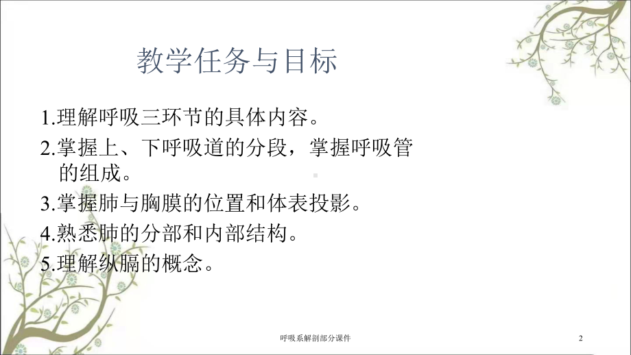 呼吸系解剖部分课件.ppt_第2页