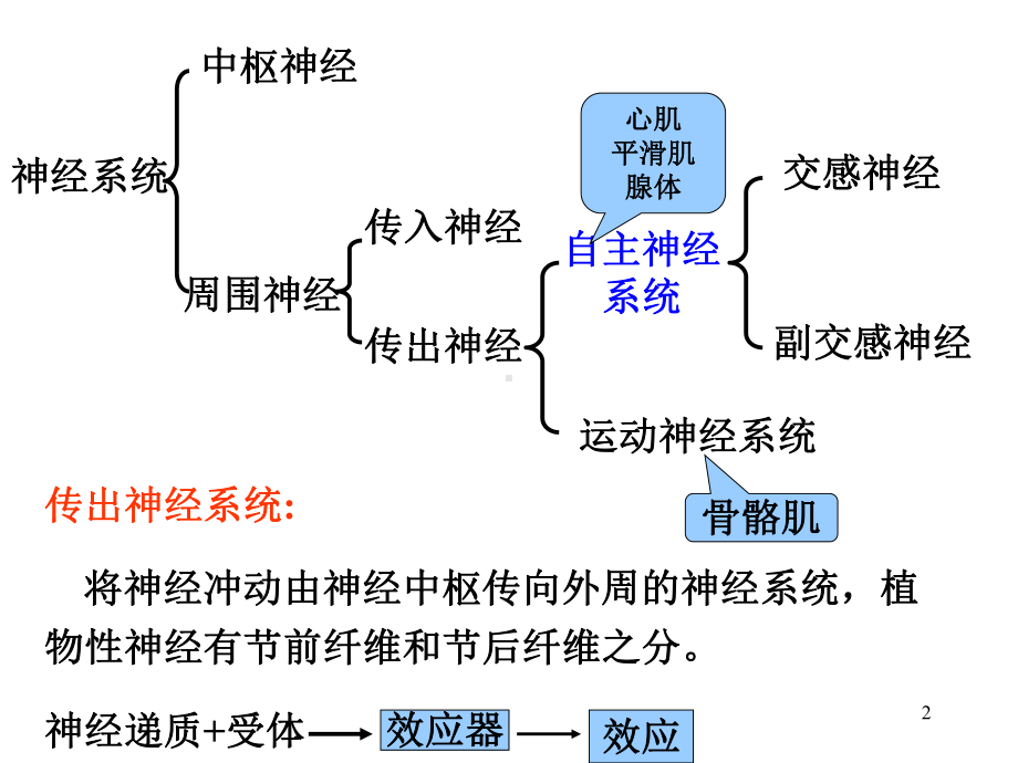 传出神经系统药理概论课件.pptx_第2页