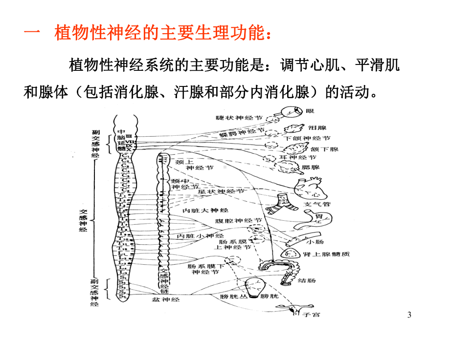 传出神经系统药理概论课件.pptx_第3页