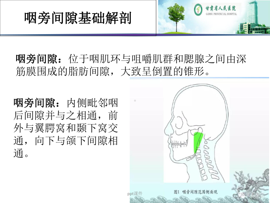 咽旁间隙病变的影像诊断及鉴别病例-课件.ppt_第3页