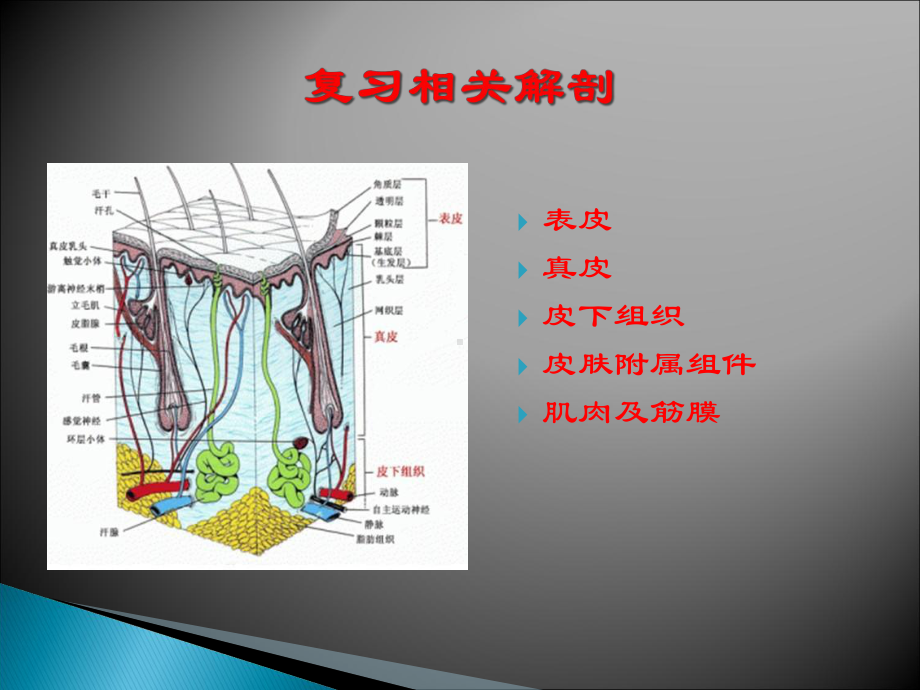 医学课件皮内皮下和肌内注射.ppt_第1页