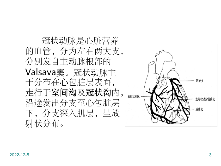 冠状动脉CTA解剖课件-2.ppt_第3页