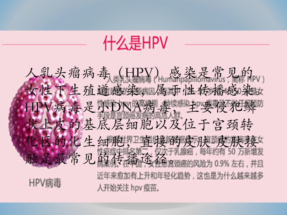 宫颈癌疫苗与HPV课件.pptx_第2页