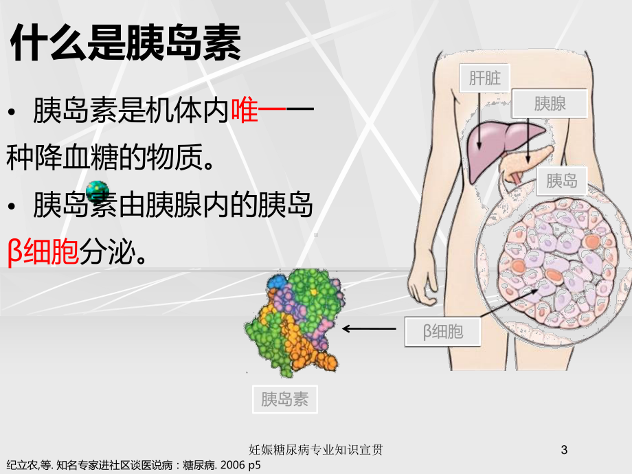 妊娠糖尿病专业知识宣贯培训课件.ppt_第3页