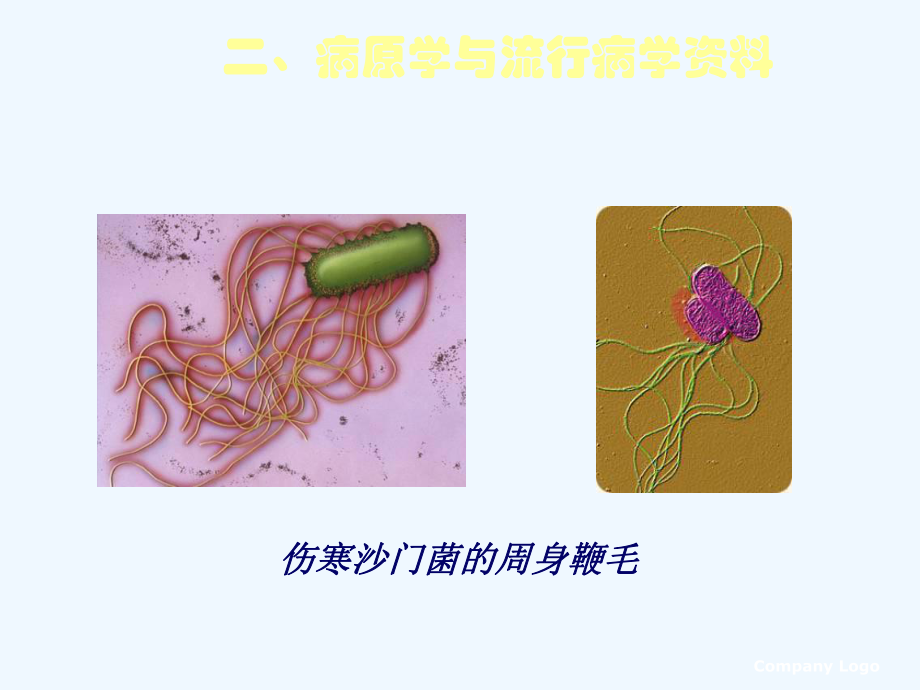 伤寒霍乱病人护理课件.ppt_第3页