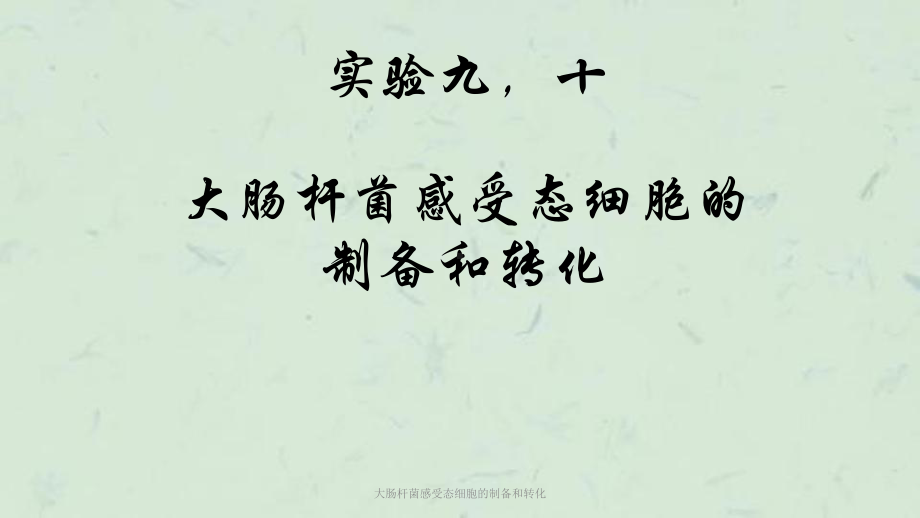 大肠杆菌感受态细胞的制备和转化课件.ppt_第1页