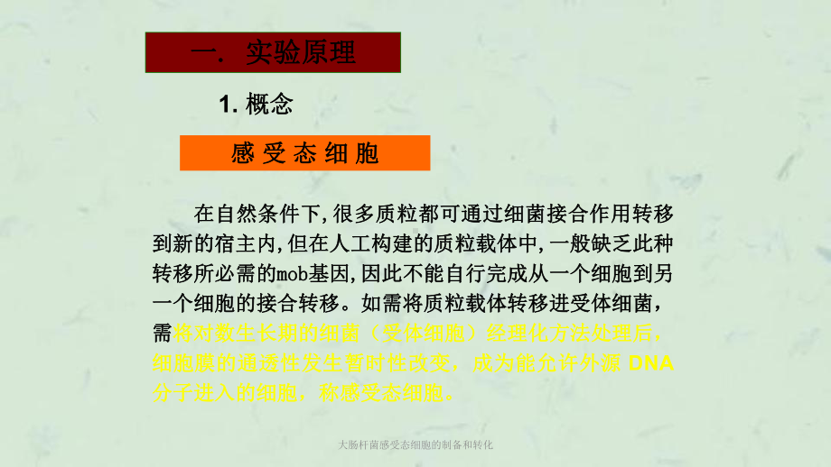 大肠杆菌感受态细胞的制备和转化课件.ppt_第2页