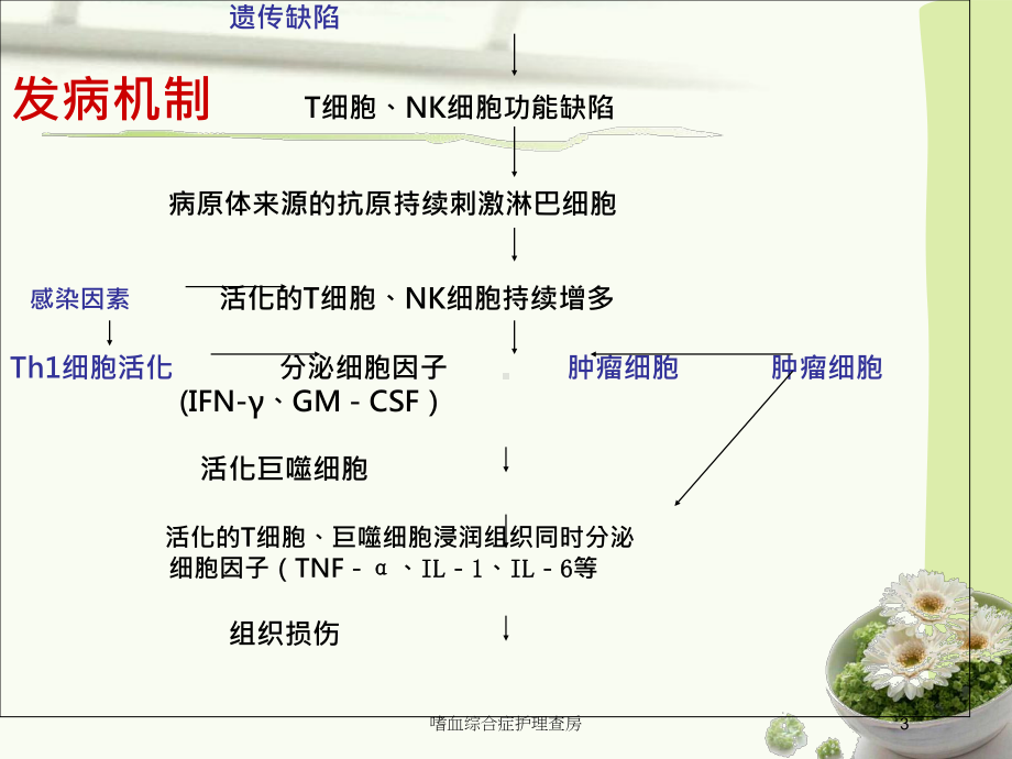 嗜血综合症护理查房培训课件.ppt_第3页