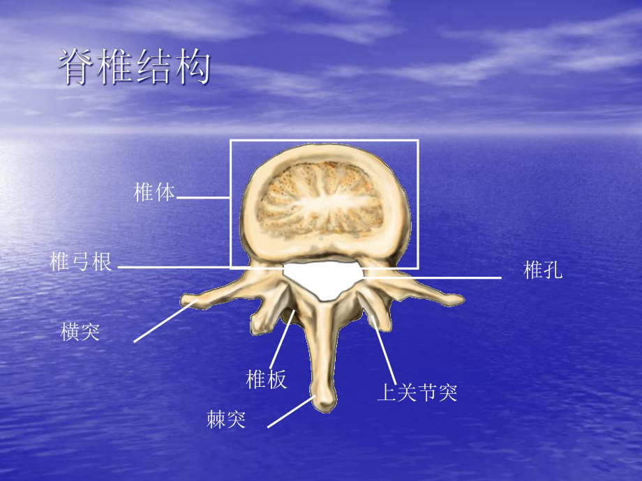 医学课件胸腰椎骨折的业务学习.ppt_第3页