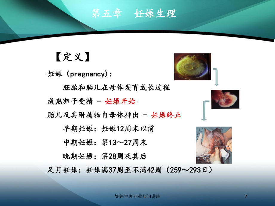 妊娠生理专业知识讲座培训课件.ppt_第2页