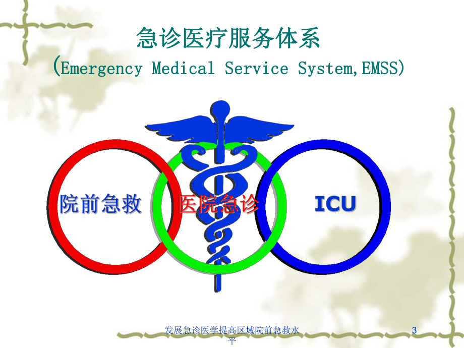 发展急诊医学提高区域院前急救水平培训课件.ppt_第3页