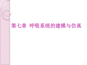 呼吸系统的建模与仿真课件.ppt