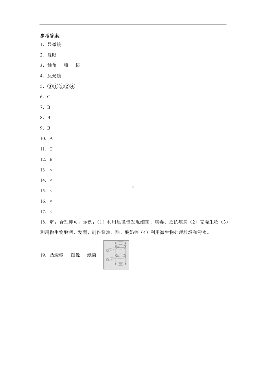 1.3.观察身边微小的物体（同步练习）-2022新教科版六年级上册《科学》.docx_第3页