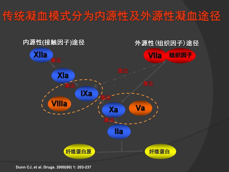 凝血途径及抗凝血剂课件.ppt_第3页