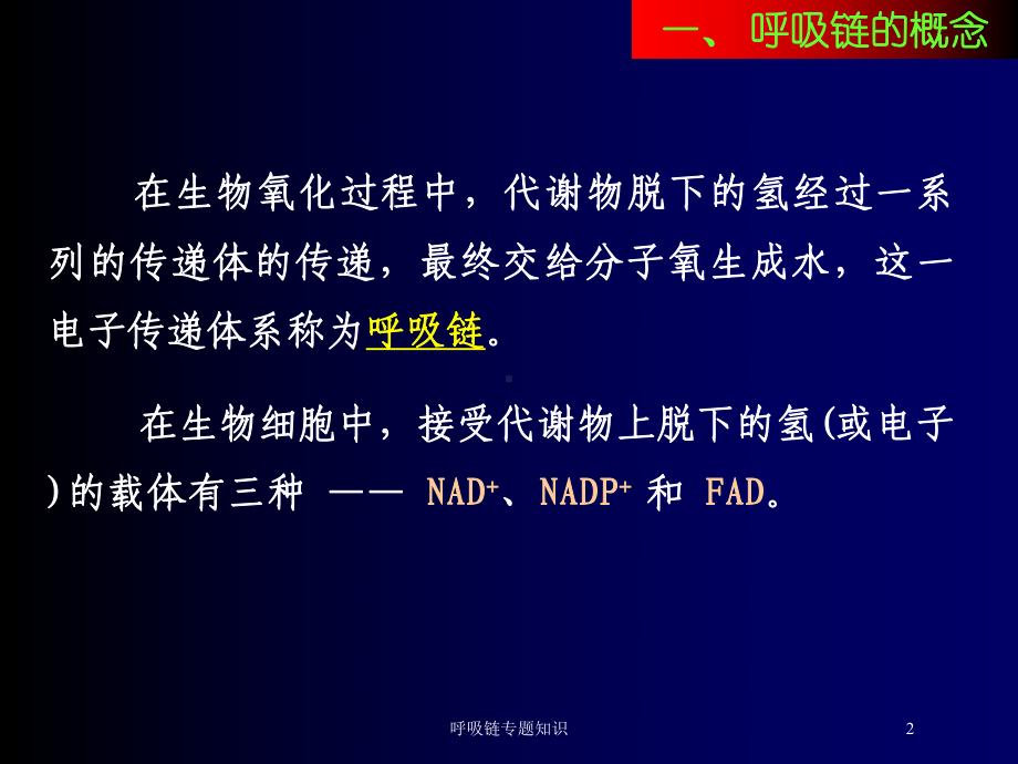 呼吸链专题知识培训课件.ppt_第2页