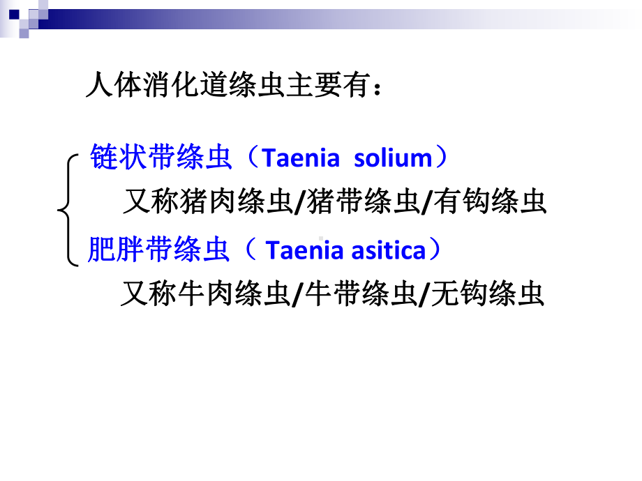 大学本科《临床寄生虫检验》第二章-消化道寄生虫-绦虫课件.ppt_第3页