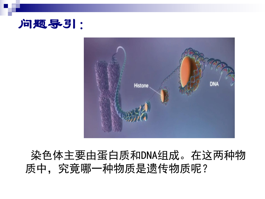 人教版生物新教材《DNA是主要的遗传物质》1课件.ppt_第2页