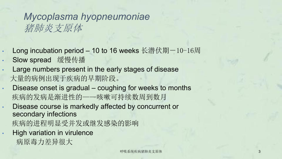 呼吸系统疾病猪肺炎支原体课件.ppt_第3页