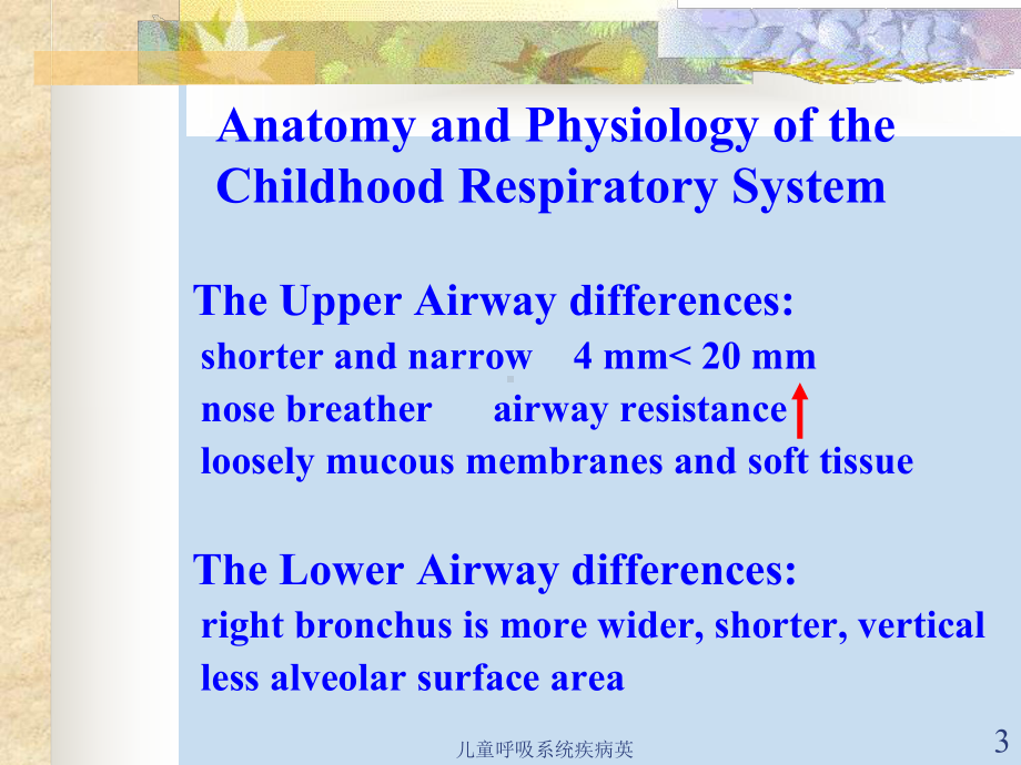 儿童呼吸系统疾病英课件.ppt_第3页