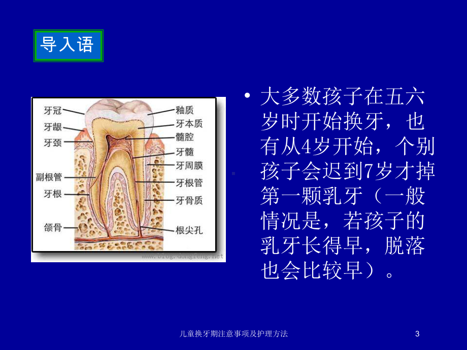 儿童换牙期注意事项及护理方法培训课件.ppt_第3页