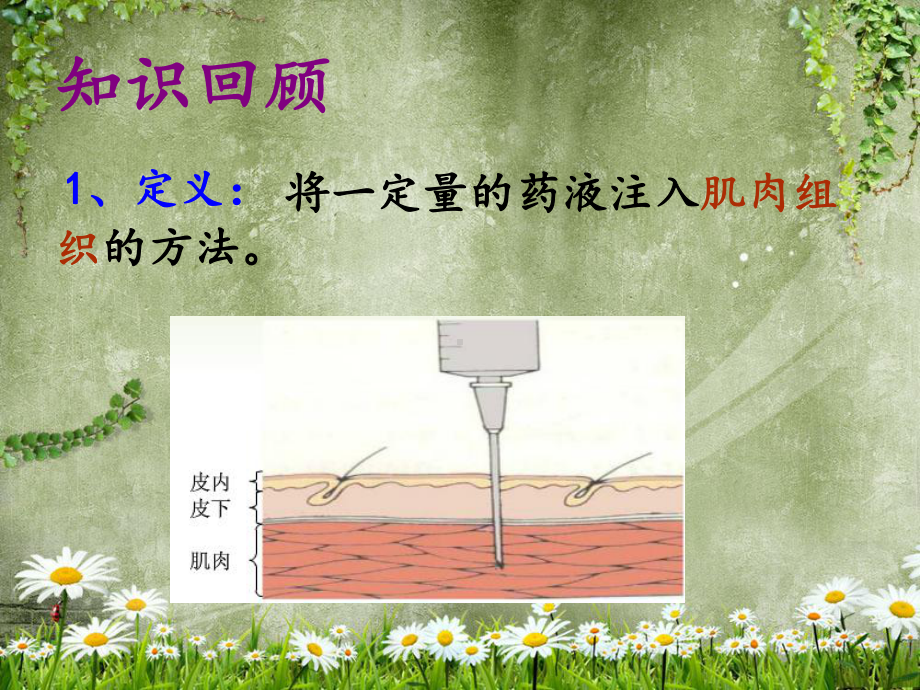 医学肌内注射法培训课件.ppt_第2页