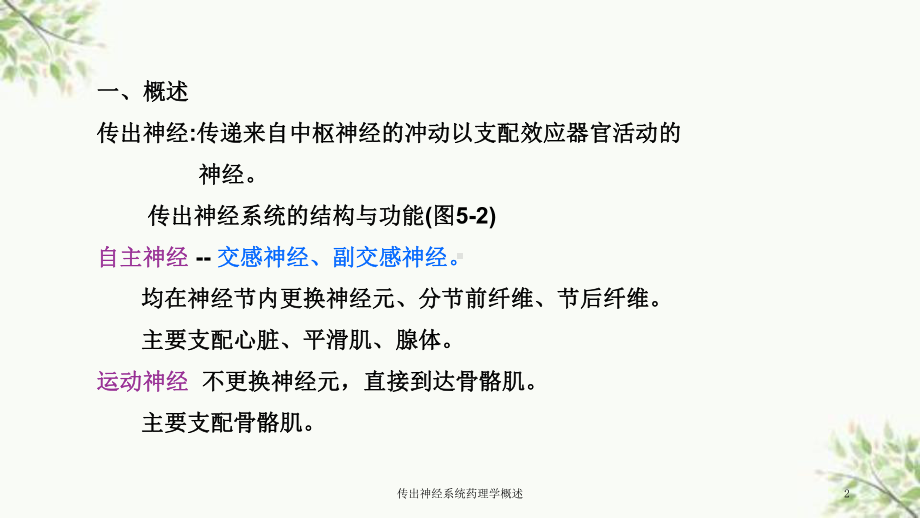 传出神经系统药理学概述课件.ppt_第2页