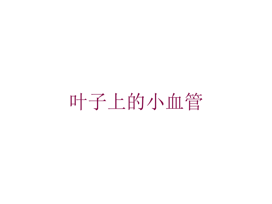 叶子上的小血管培训课件.ppt_第1页