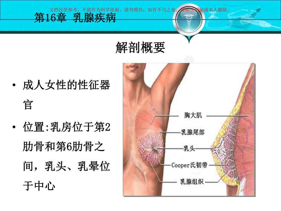 外科学乳腺疾病培训课件.ppt_第1页