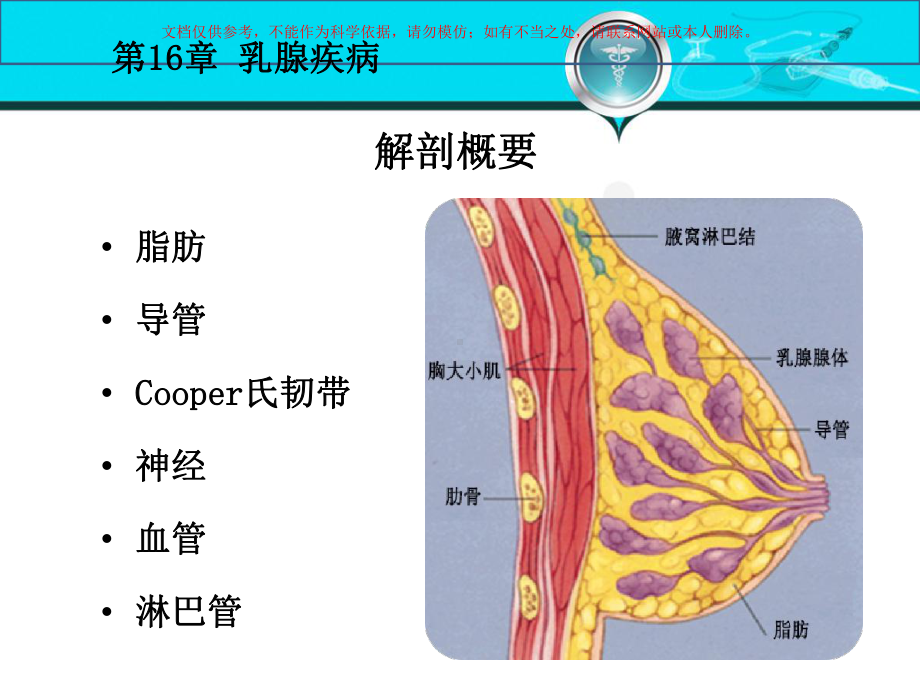 外科学乳腺疾病培训课件.ppt_第2页