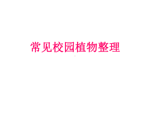 学校常见植物课件.ppt