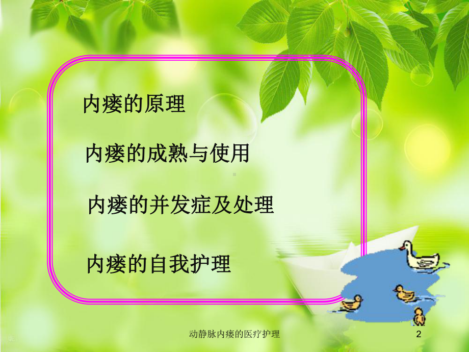 动静脉内瘘的医疗护理培训课件.ppt_第2页