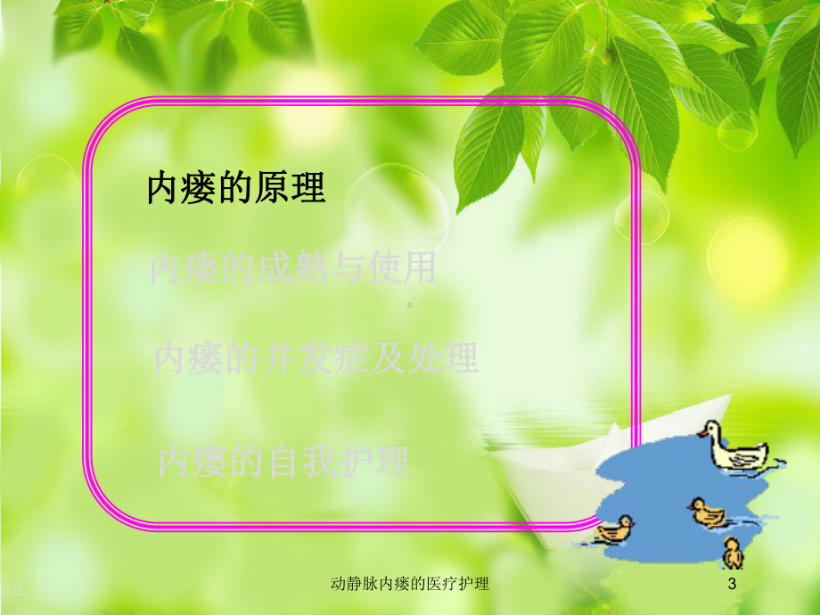 动静脉内瘘的医疗护理培训课件.ppt_第3页