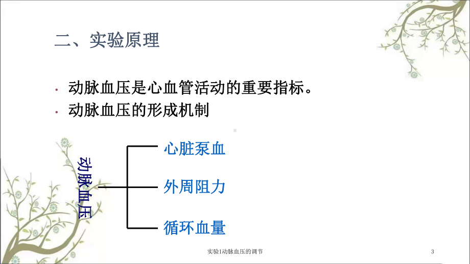 实验1动脉血压的调节课件.ppt_第3页