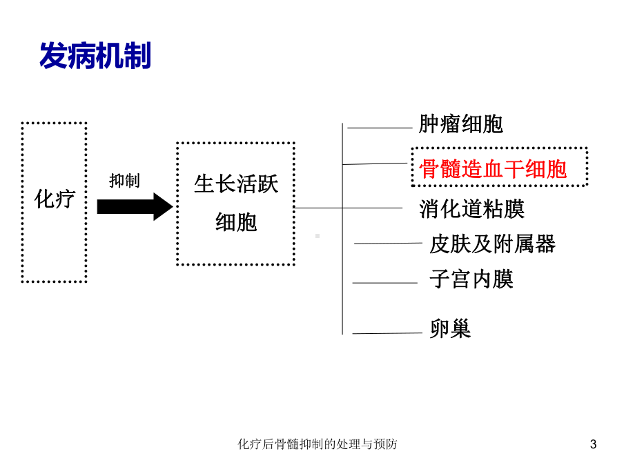 化疗后骨髓抑制的处理与预防培训课件.ppt_第3页