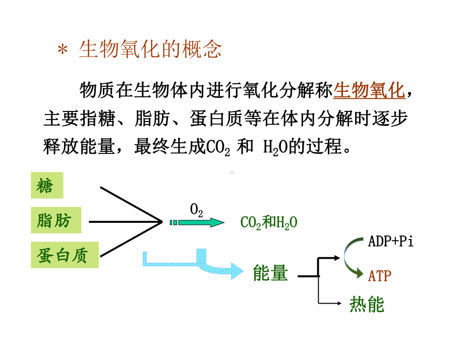 八生物氧化中医课件.pptx_第3页