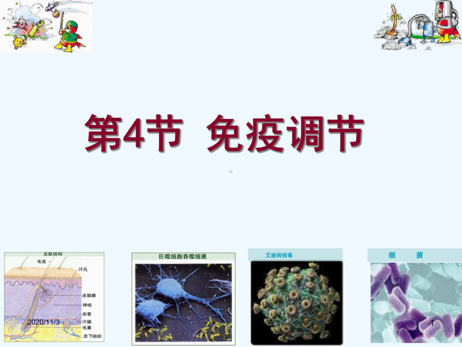 免疫调节(理科)课件.ppt_第1页