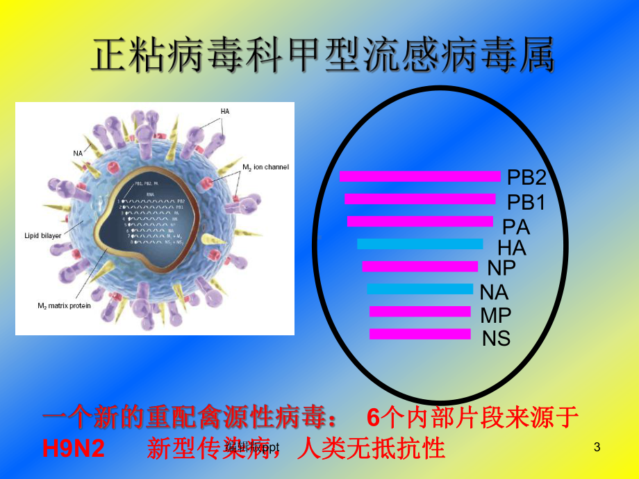 人感染H7N9流感预防与控制课件.ppt_第3页