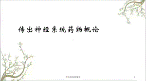 传出神经系统课件.ppt